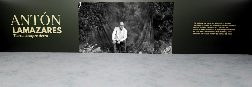 Obra de Antón Lamazares